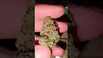 Sun County Kush by 4C Labs MC #medical #uk #alternaleaf