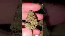 WestPacks420 Video Thumbnail