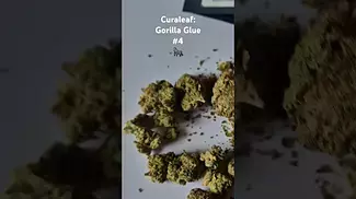 Curaleaf - Gorilla Glue #4 (UK Medical Cannabis Prescription)