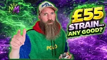 Medicated Marty Video Thumbnail