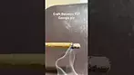 Craft Botanics T27 Georgia pie burn