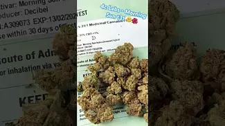 4c Labs Morning Sun  t31  #ukmedicalcannabis #medicalcannabis #painrelief #paitent #medical