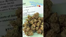 420Medical Video Thumbnail