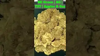 BC Green AG | T27 | Apples & Gas #420community #420 #cbpm #bcgreen #ukmedicalcannabis #uk
