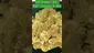 Video Thumbnail: Cannabis Culture 