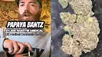 Big Narstie Medical PB T26 Papaya Bantz UK Medical Cannabis Flower