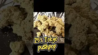 Tokyo pushpop t27 - alternaleaf