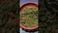 Video Thumbnail: THC Bunny