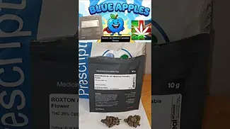 Blue Apple Roxton Air Medical Canna