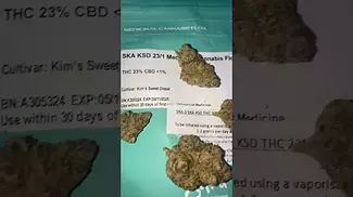 KIM’S SWEET DIESEL | UK MEDICAL CANNABIS PATIENT FLOWER VIDEO 