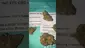 Video Thumbnail: Medical Cannabis Patient Reviews UK