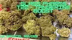 Glass Pharms T20 - Tangerine Boost - UK Medical Review