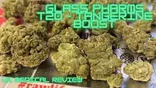ERB B4S Video Thumbnail