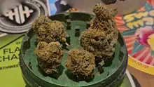Keep Blazing Stay Amazing Video Thumbnail
