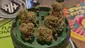 Video Thumbnail: Keep Blazing Stay Amazing