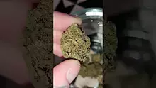WestPacks420 Video Thumbnail