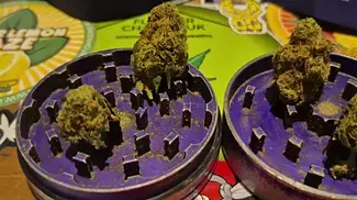 4C Labs Premium SGC T31 Super-G Citra  31% THC • 1% CBD