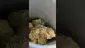 Video Thumbnail: PrescribedBouquet
