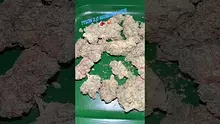 Bajan Video Thumbnail