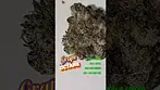 Grape Octane by Kasa Verde THC-27% UK MEDICAL BN-A346630 ED-10-03-26