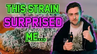 Clearleaf |Gelato Dream |UK Medical Flower Review