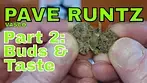 Vasco Pave Runtz Part 2 BUDS & TASTE TEST