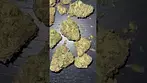 DOE Medical | Jack Herer 28/1 Medical Cannabis Flower  #cannabisdaily #dankofengland #doe
