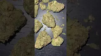 DOE Medical | Jack Herer 28/1 Medical Cannabis Flower  #cannabisdaily #dankofengland #doe