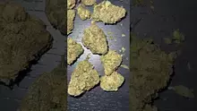 CheeseMon4 Video Thumbnail