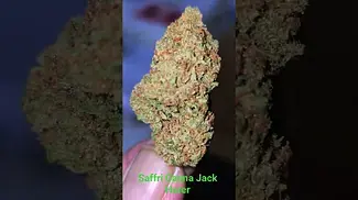 Safricanna Jack Herer T24 - Sweet fruity floral pepper