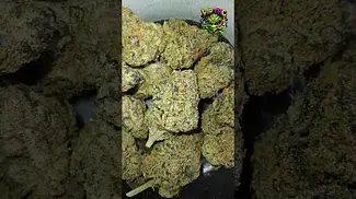 Craft Botanics | Gelonade | UK Medical Flower | First Look 