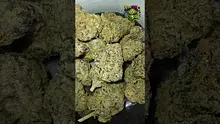 VIP THC Video Thumbnail