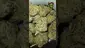 Video Thumbnail: VIP THC