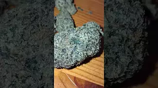 AAAA(Lot420) - Ripped Off Runtz #cannabisdaily #medicalmarijuanapatient #cannabiseducation