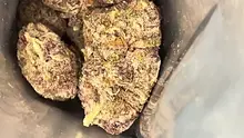 BabyzBudz Video Thumbnail