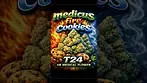 Medicus | Fire Cookies | Smalls | T24 | UK Medical Flower | 1 Week Review