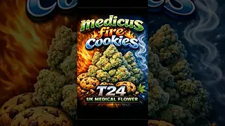 Medicus | Fire Cookies | Smalls | T24 | UK Medical Flower | 1 Week Review