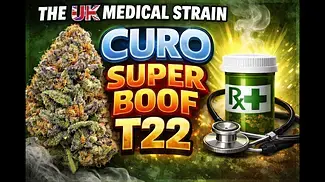 UK MEDICAL FLOWER | CURO | SUPER BOOF | T22