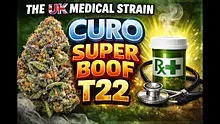Cannabis Culture  Video Thumbnail