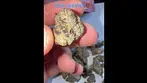Blue Lobster Vasco Cipher medical flower