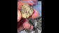 Video Thumbnail: PiffTV