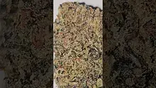 AzztecMedia (Second Channel) Video Thumbnail