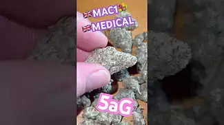 Mac1 click here…….