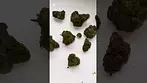 Grow Biscotti Ice Cream Cake ( Fine cookies) Quick Look medicalcannabisuk prescription grow