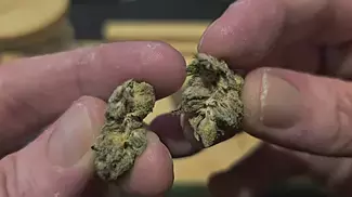 UK Medical Cannabis Review - Grape Cream Cake