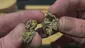 Video Thumbnail: Punkz Emporium