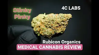 Stinky Pinky | 4C Labs/1964 - Rubicon Organics | UK Medical Cannabis Review