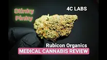 AK87 Reviews Video Thumbnail