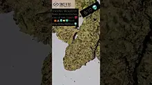Azztecmedia UK Medical Video Thumbnail