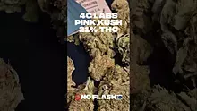 Medicated Mate Video Thumbnail